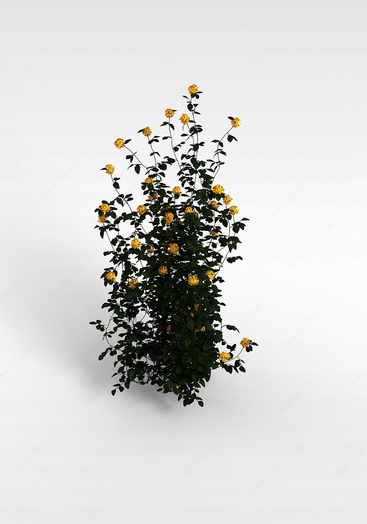 黄色小花3D模型