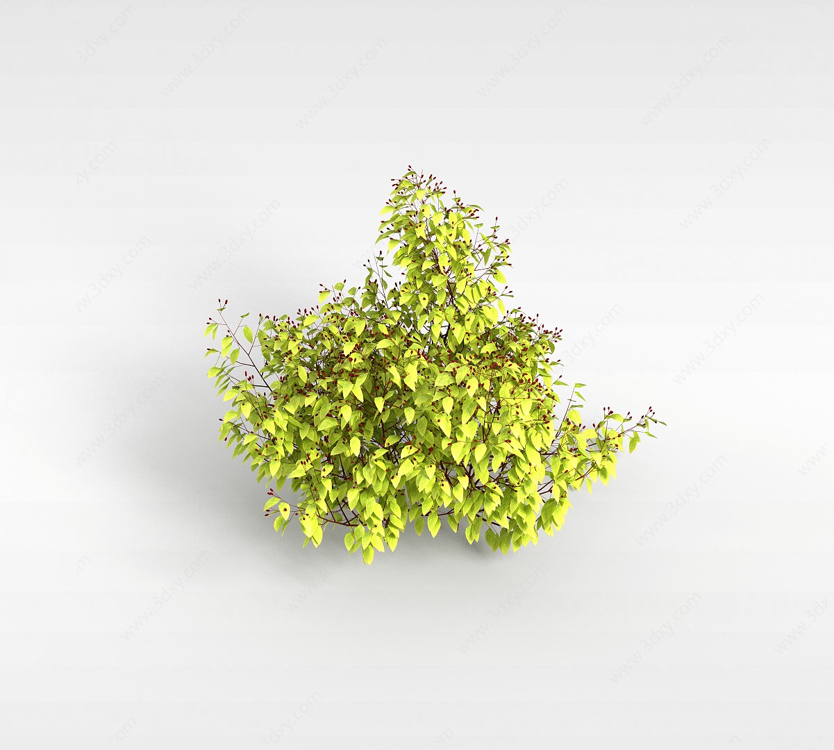 黄色果实灌木3D模型