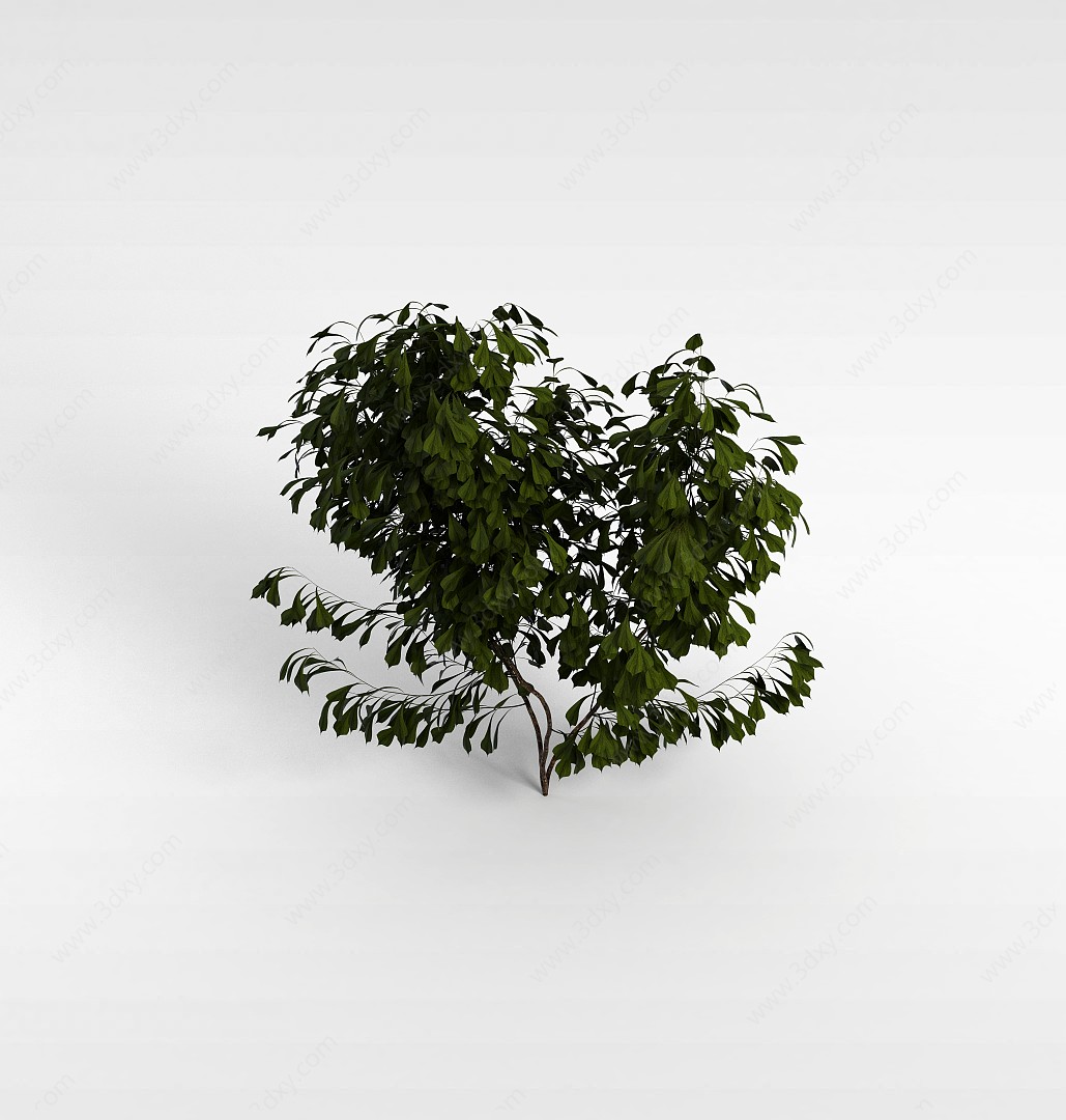 大叶片灌木3D模型