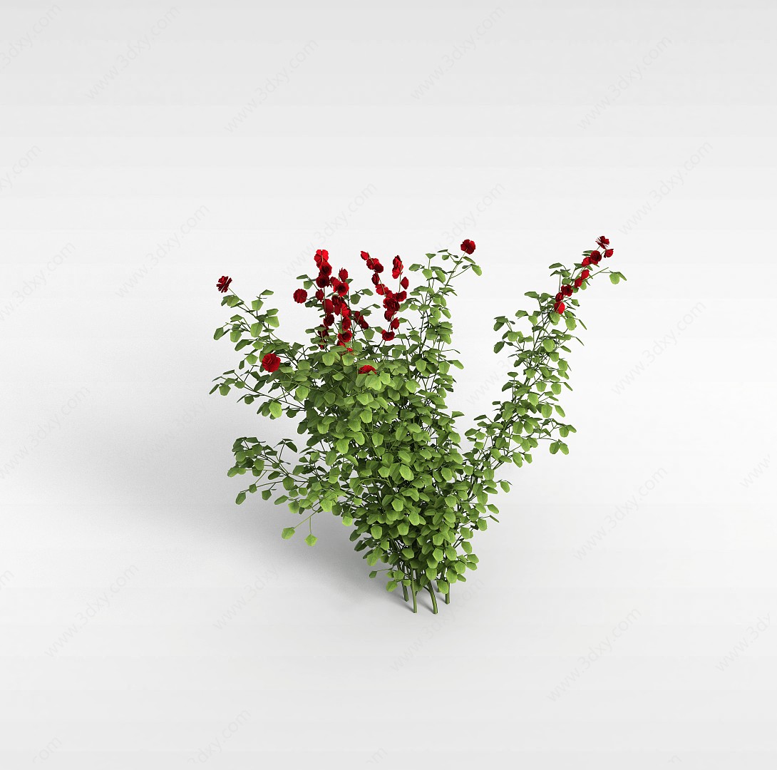 红花灌木3D模型