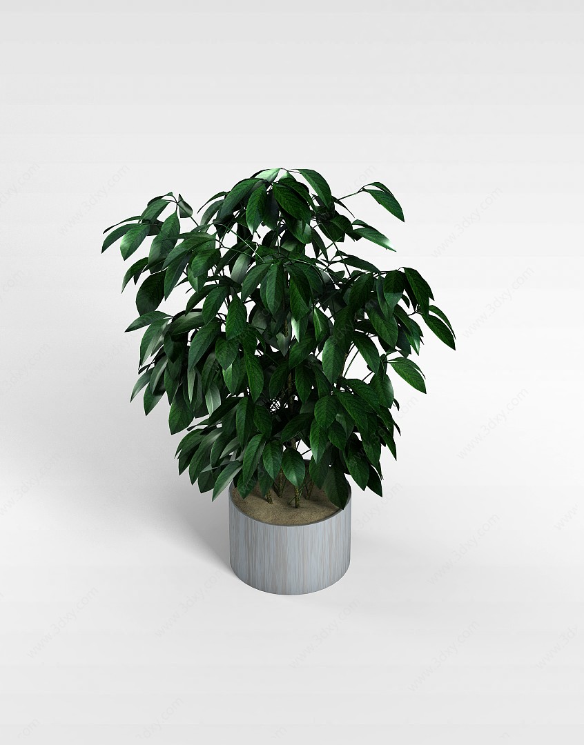 盆栽3D模型