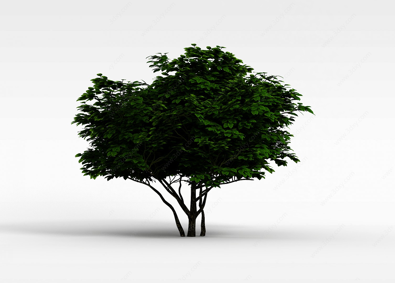 园林景观树木3D模型