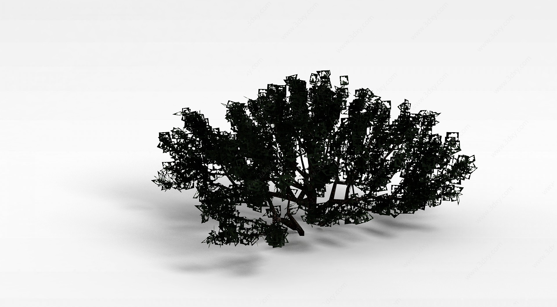装饰灌木3D模型
