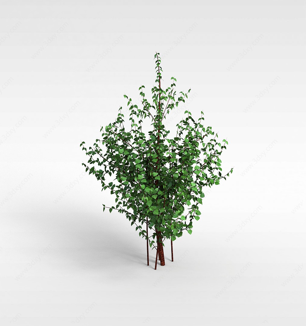 阔叶灌木3D模型