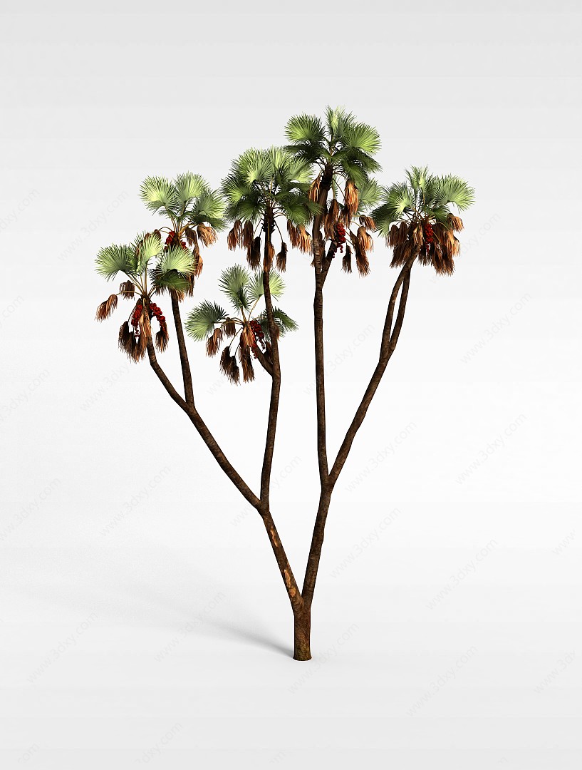 亚热带植物3D模型