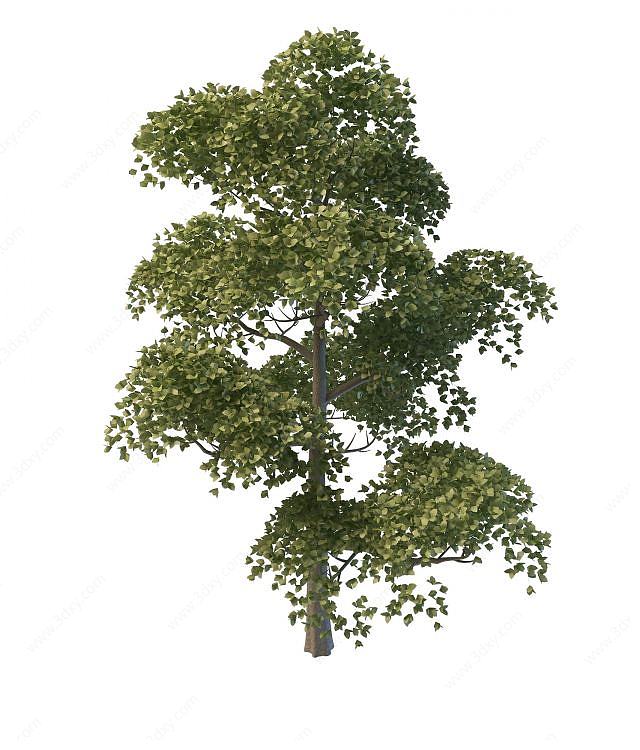 绿化环境树木3D模型