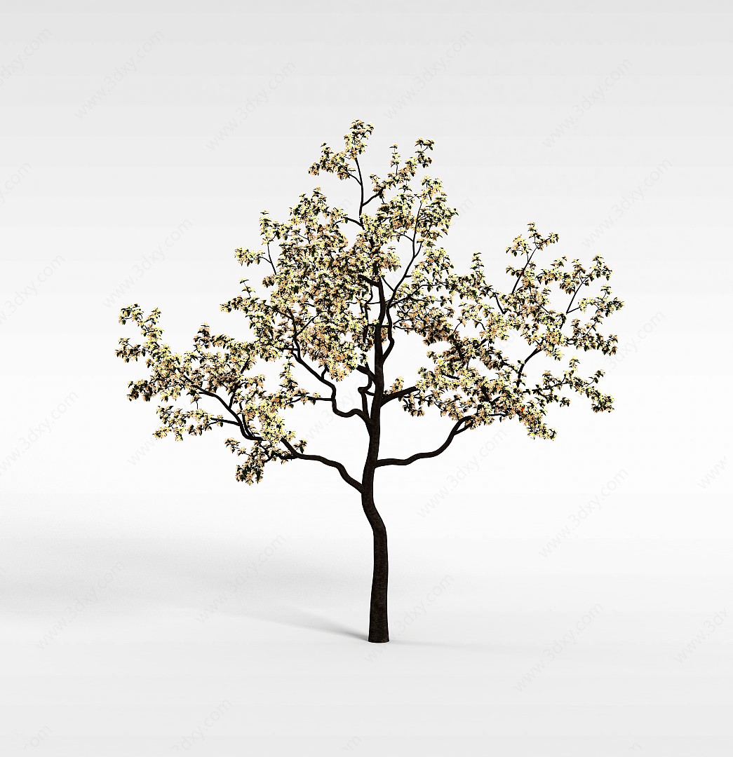 樱桃树3D模型