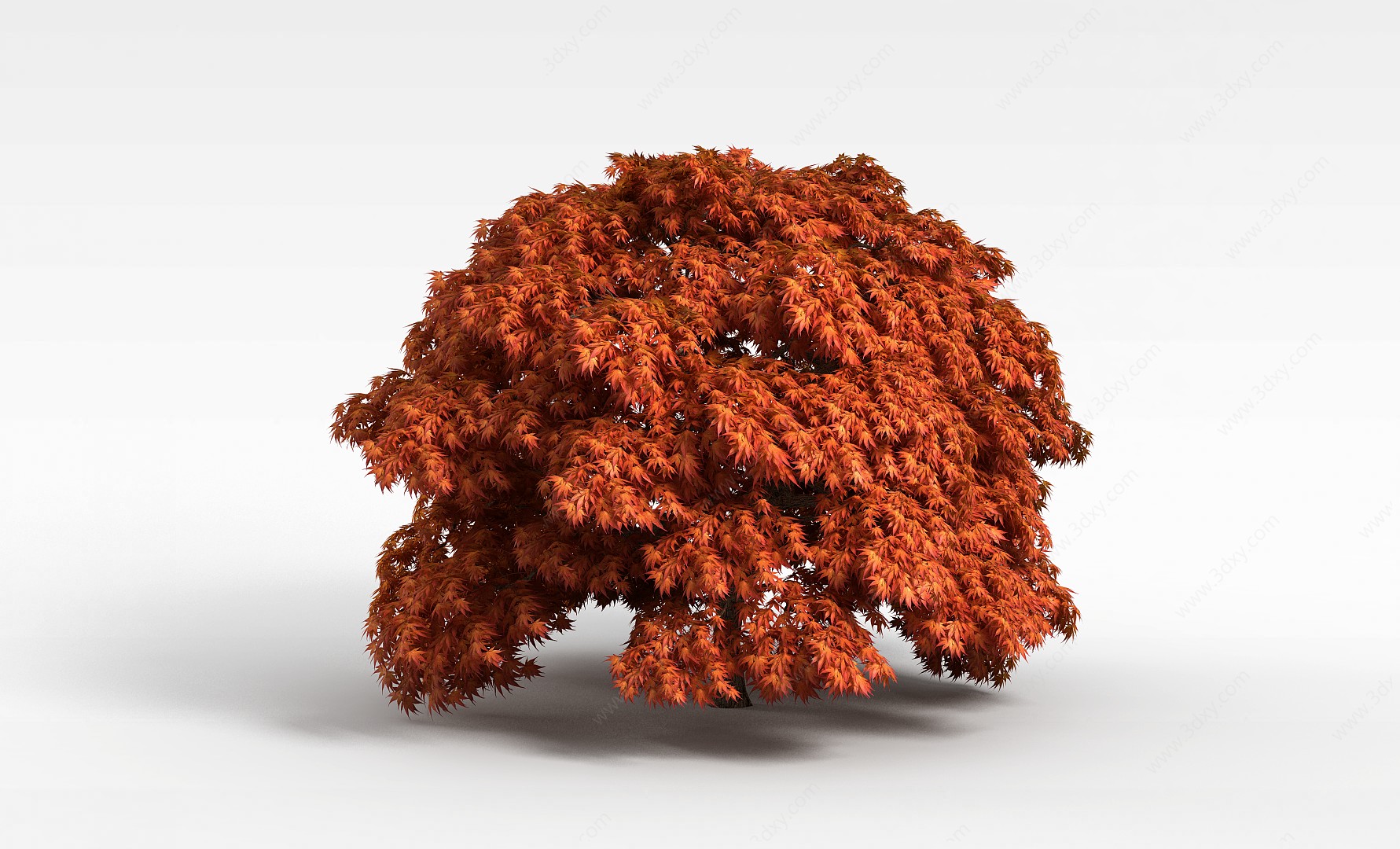 枫叶树3D模型
