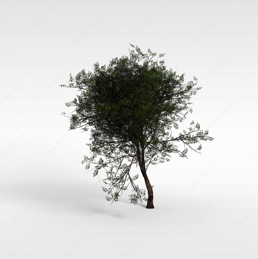 绿化苗木3D模型