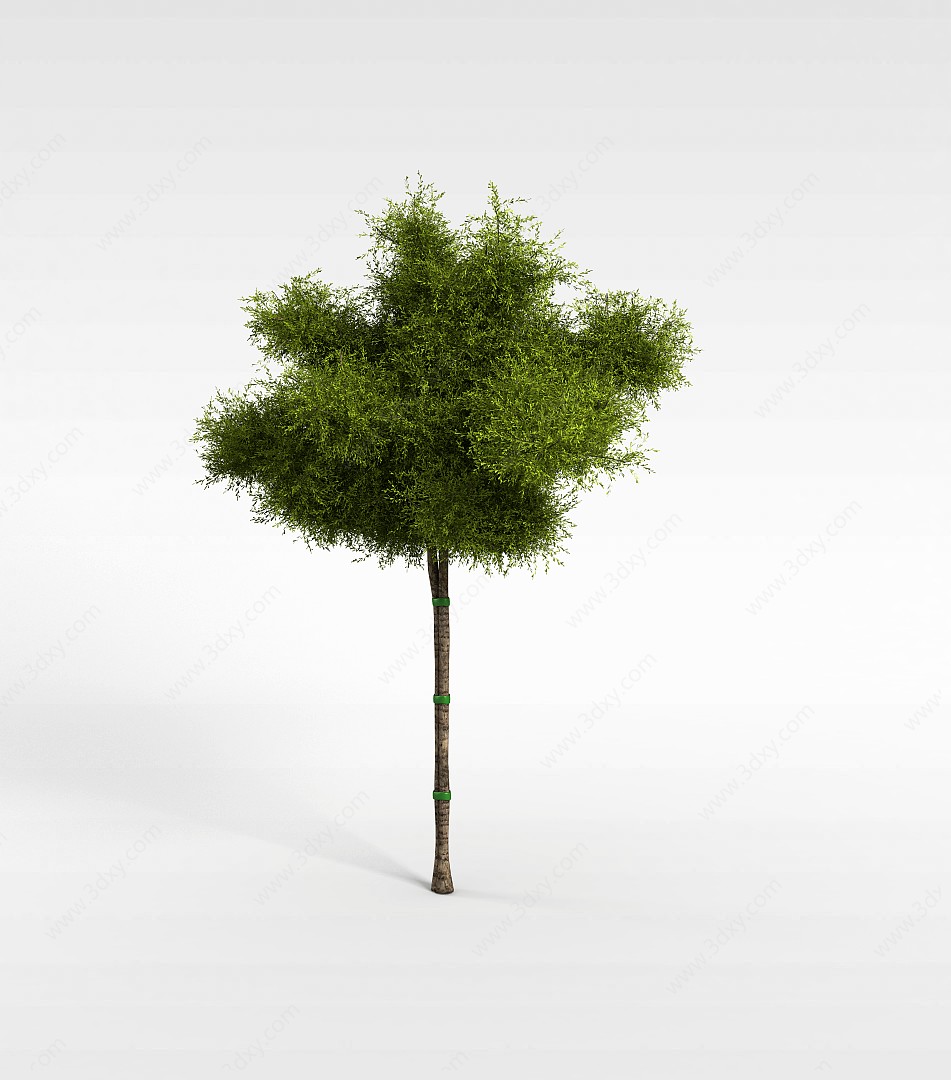道路绿化树3D模型