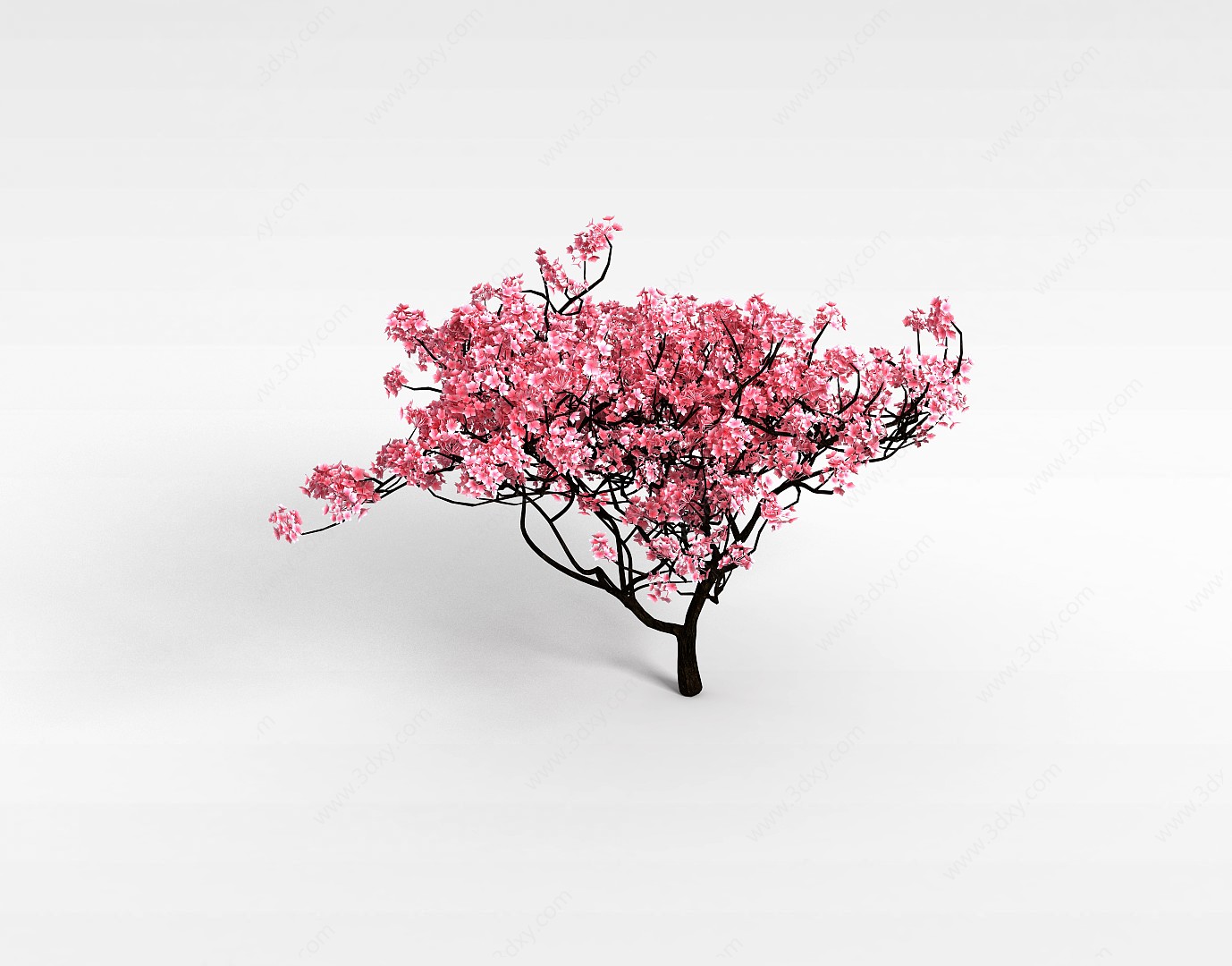 樱花树3D模型