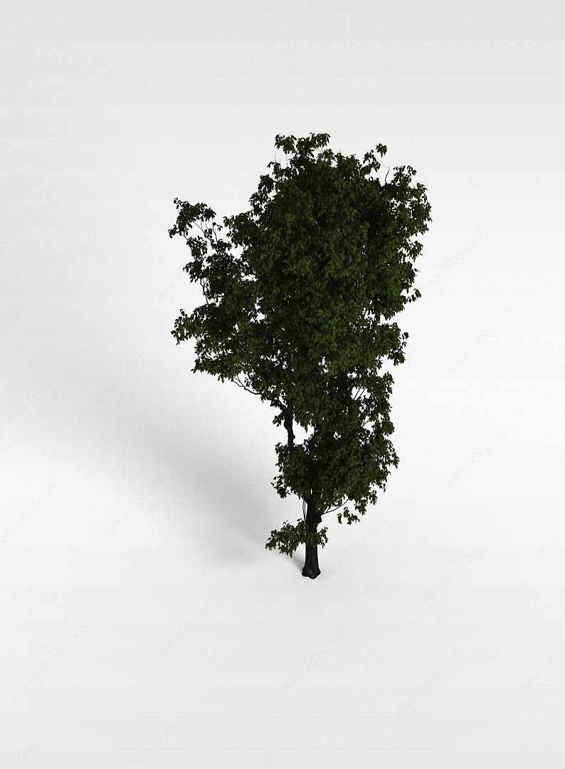 茂盛大树3D模型