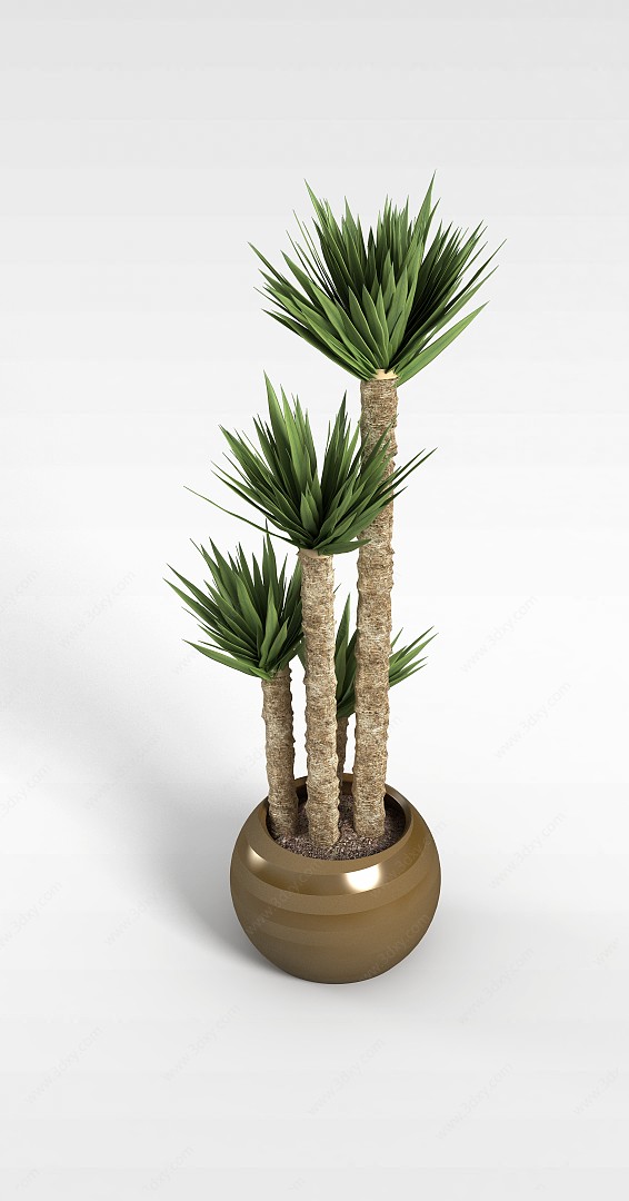 热带植物盆栽3D模型