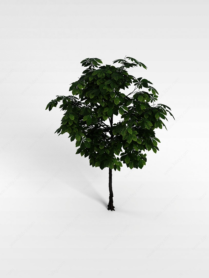 大叶树3D模型