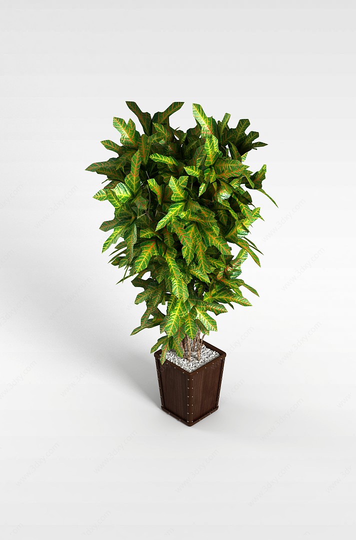 景观植物盆栽3D模型