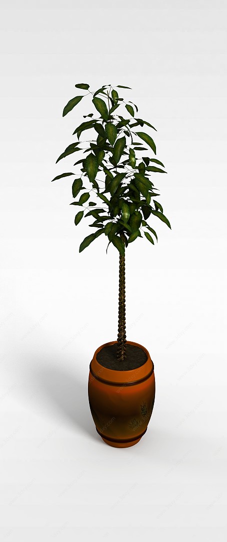 室内盆栽植物3D模型