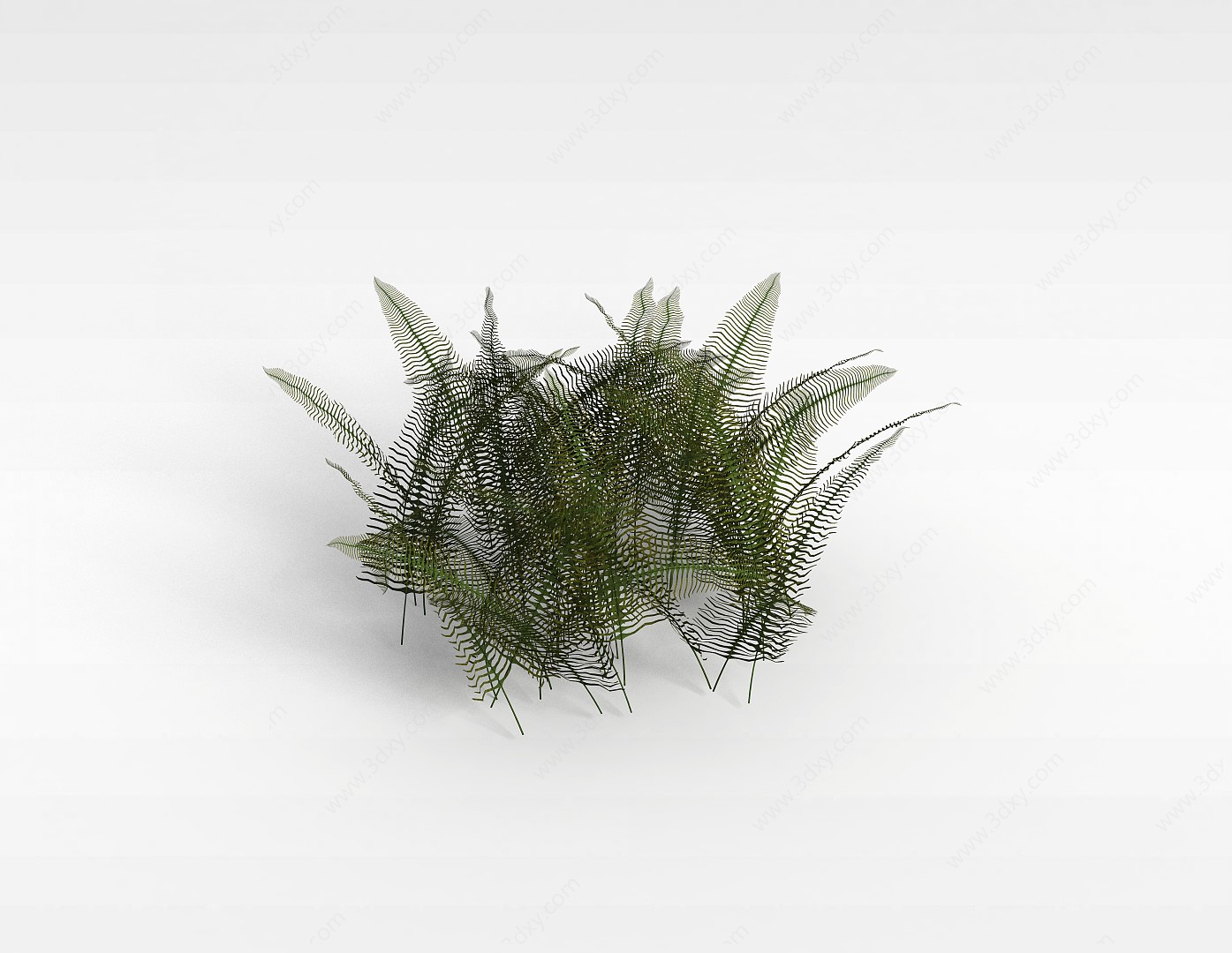 仿真椰子叶3D模型