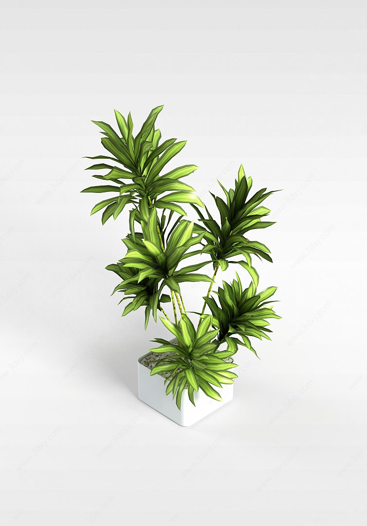 室内盆栽3D模型
