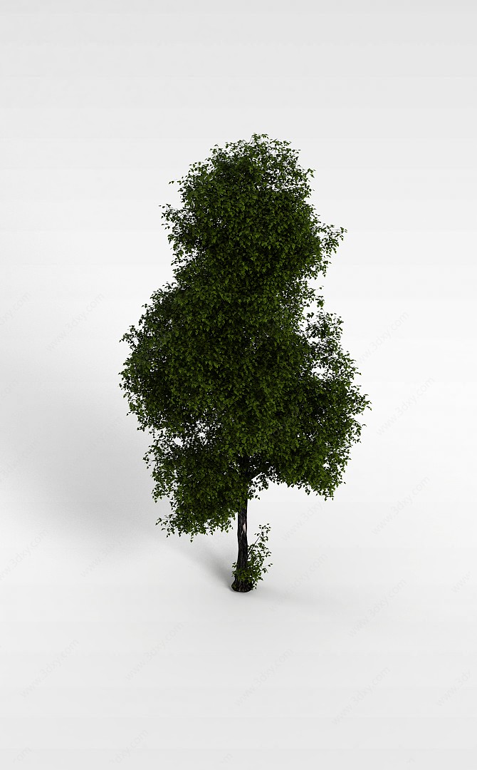 绿化环境树3D模型