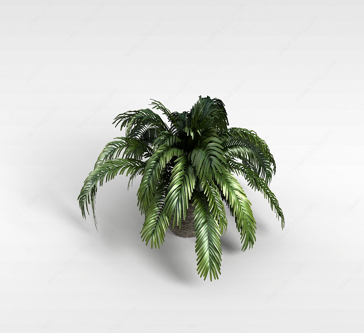 盆栽花草3D模型