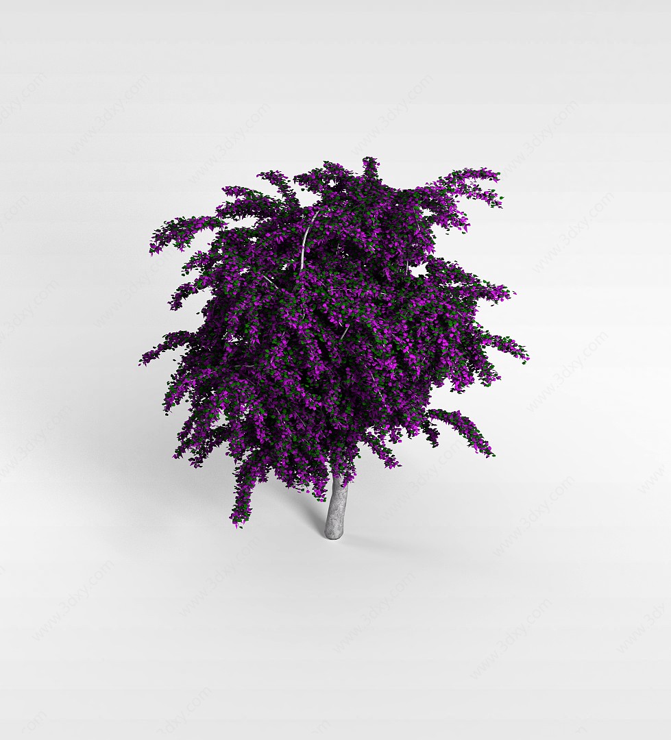 紫丁香花3D模型