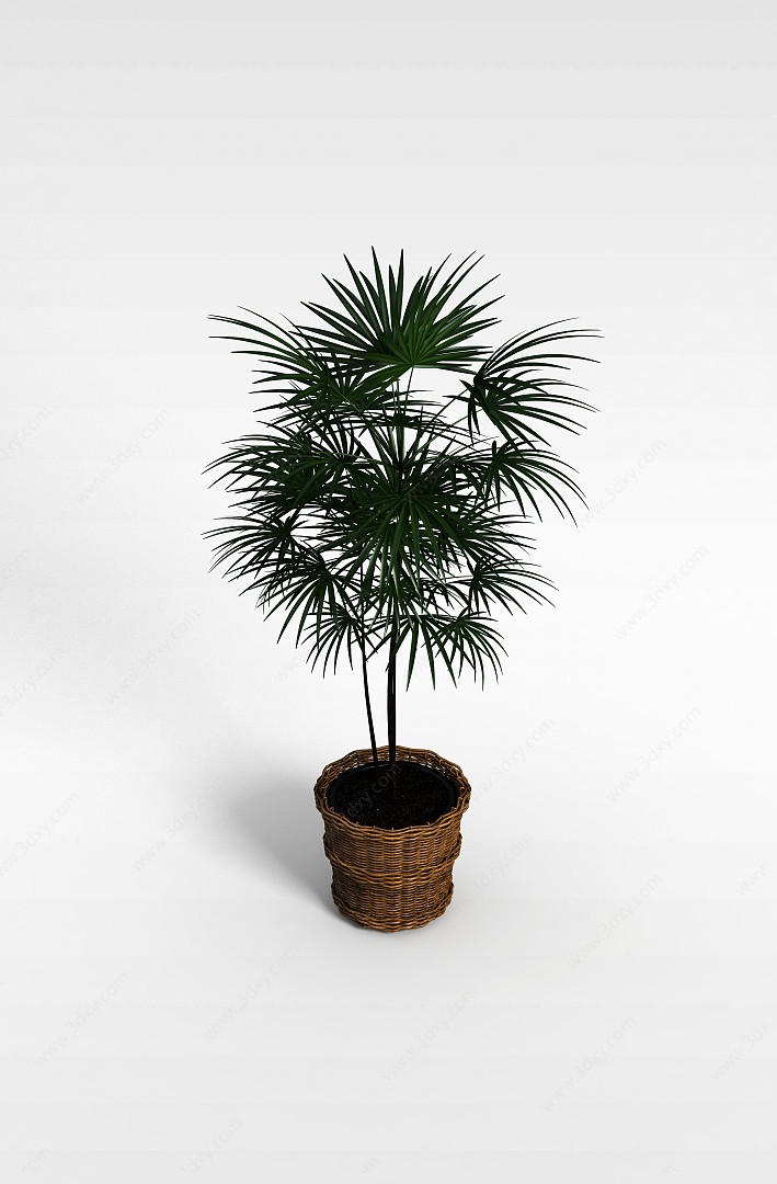 扇形植物3D模型