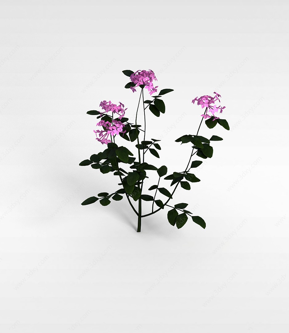 仿真植物盆栽3D模型