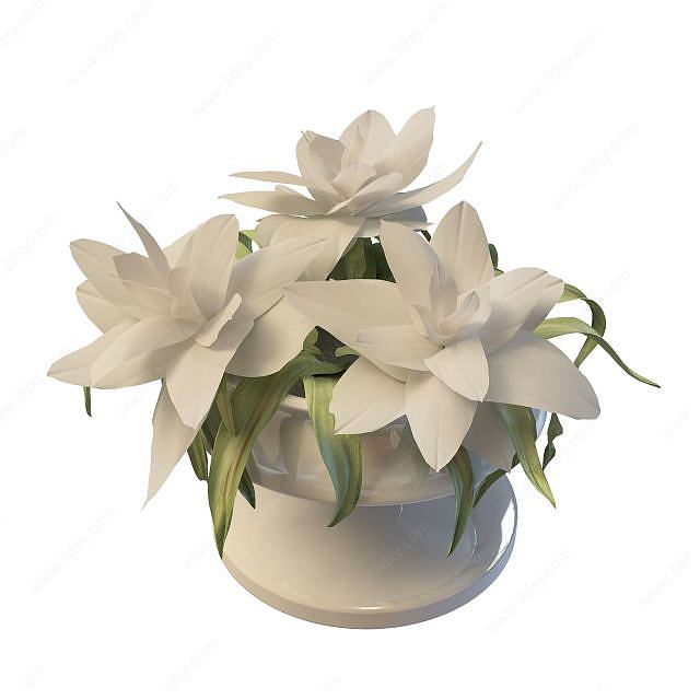 白花盆栽3D模型