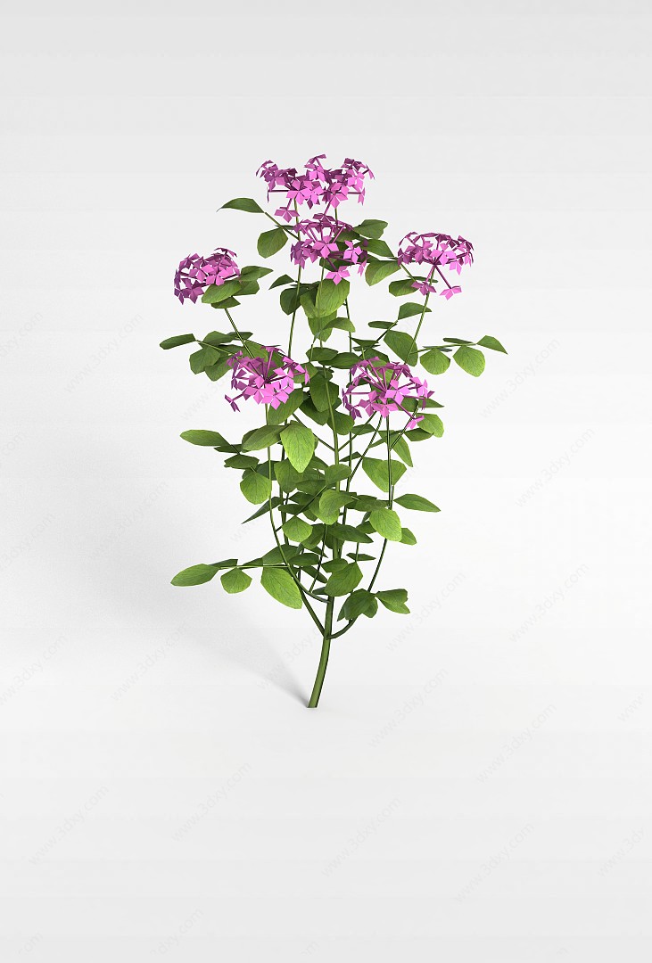 仿真紫色花卉3D模型