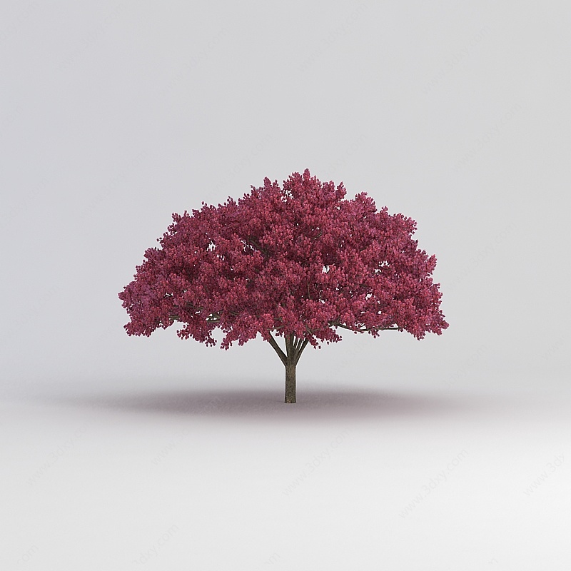 樱桃树3D模型