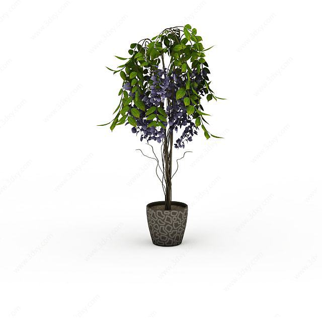 紫丁香盆景3D模型