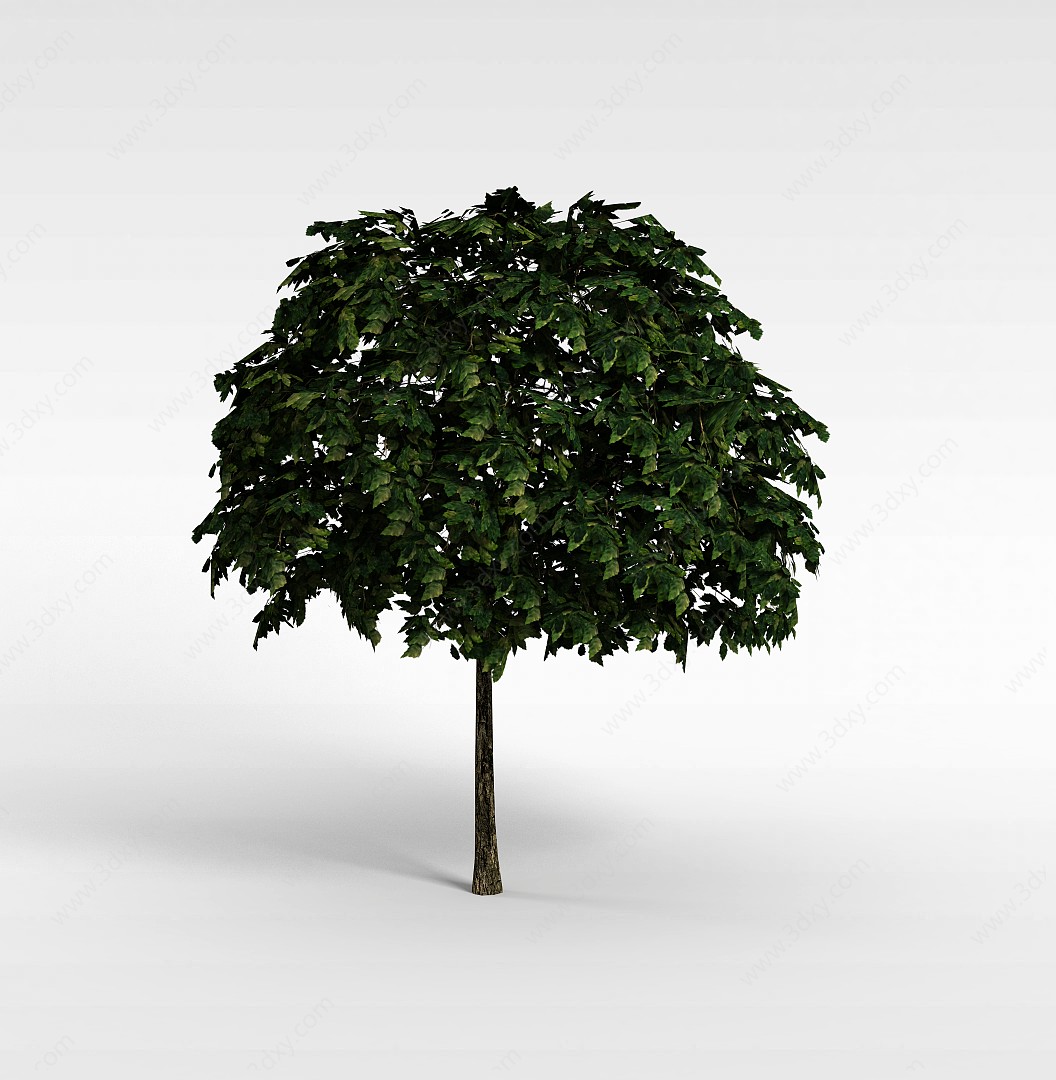 青树3D模型