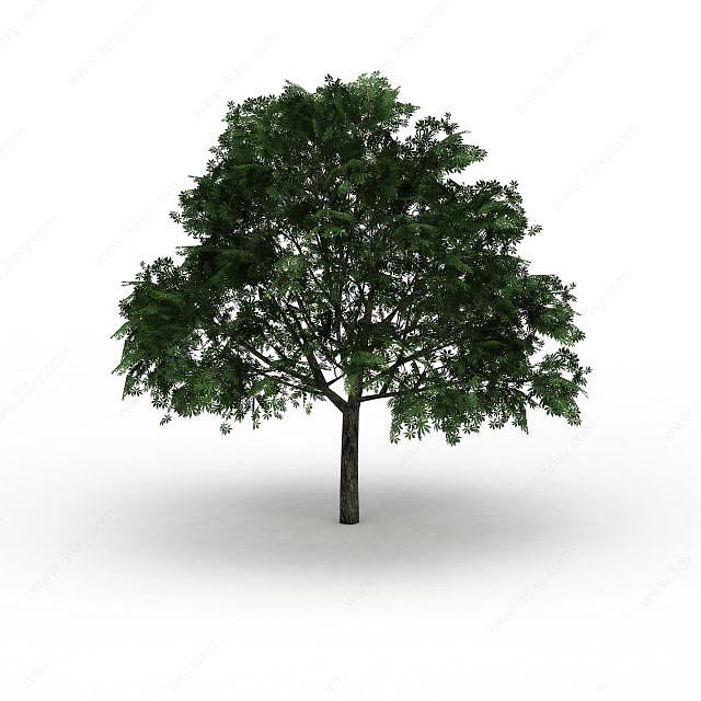 绿化树3D模型