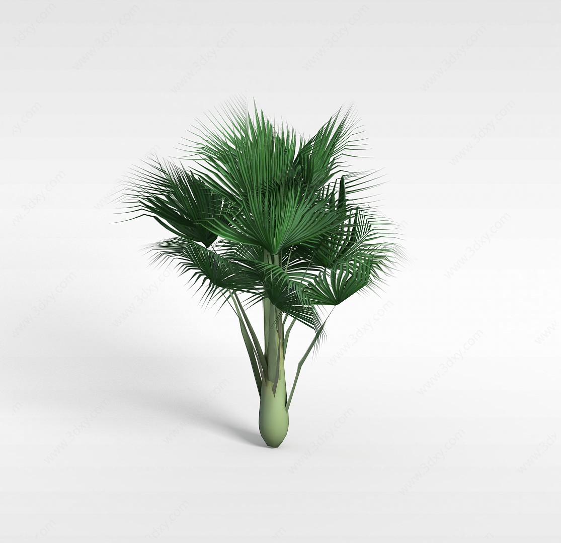 扇子树3D模型