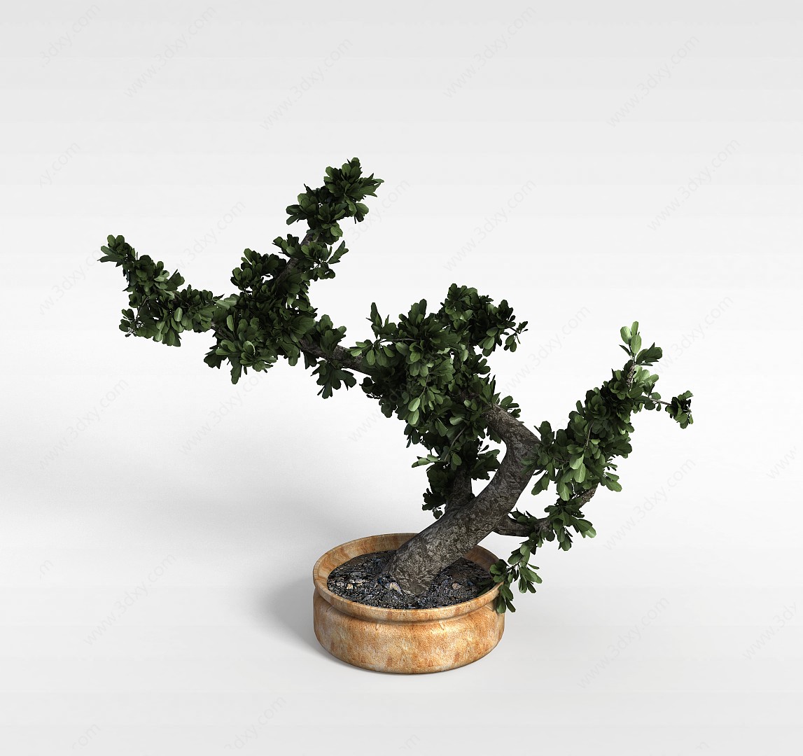 盆栽灌木3D模型