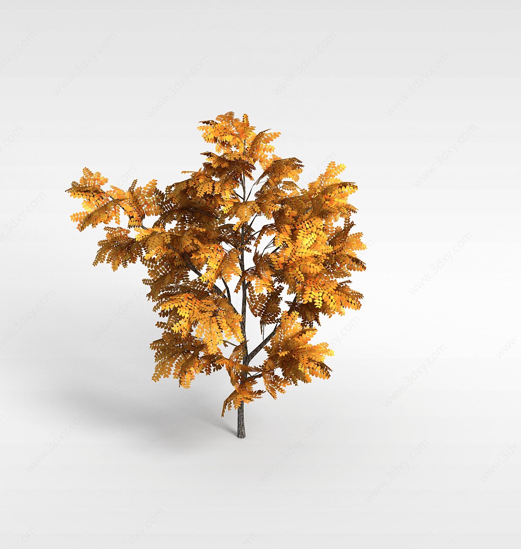 黄叶树3D模型