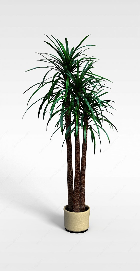 热带植物盆景3D模型