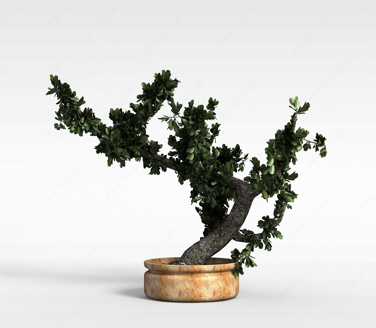 灌木盆栽3D模型