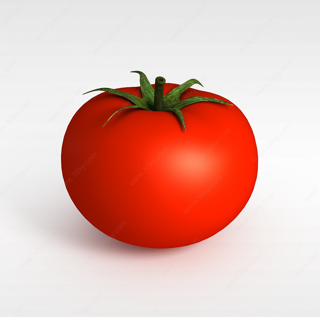 番茄3D模型