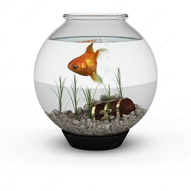 小型玻璃鱼缸3D模型