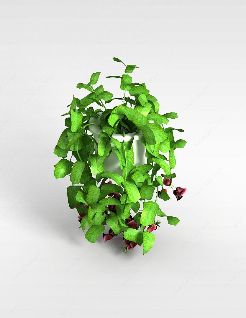 大型鲜花盆栽3D模型
