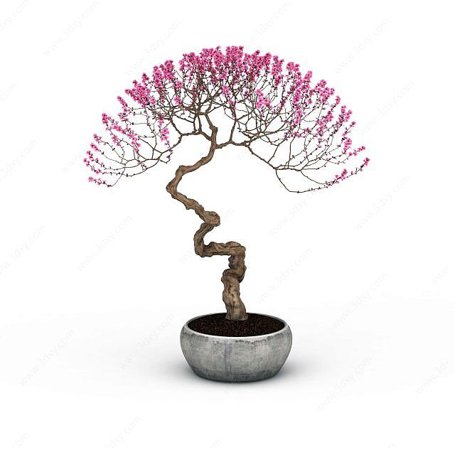 粉色梅花盆栽3D模型