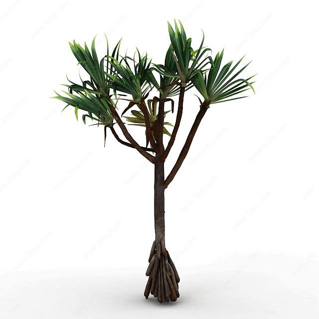 热带棕榈树3D模型