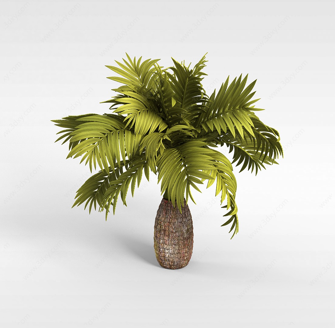 菠萝树3D模型