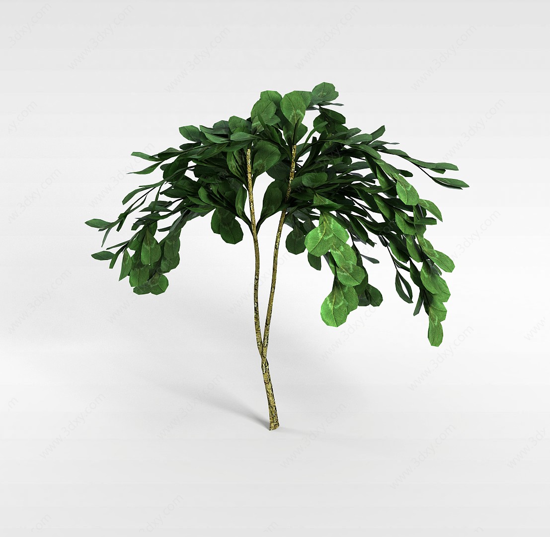 圆叶小树3D模型