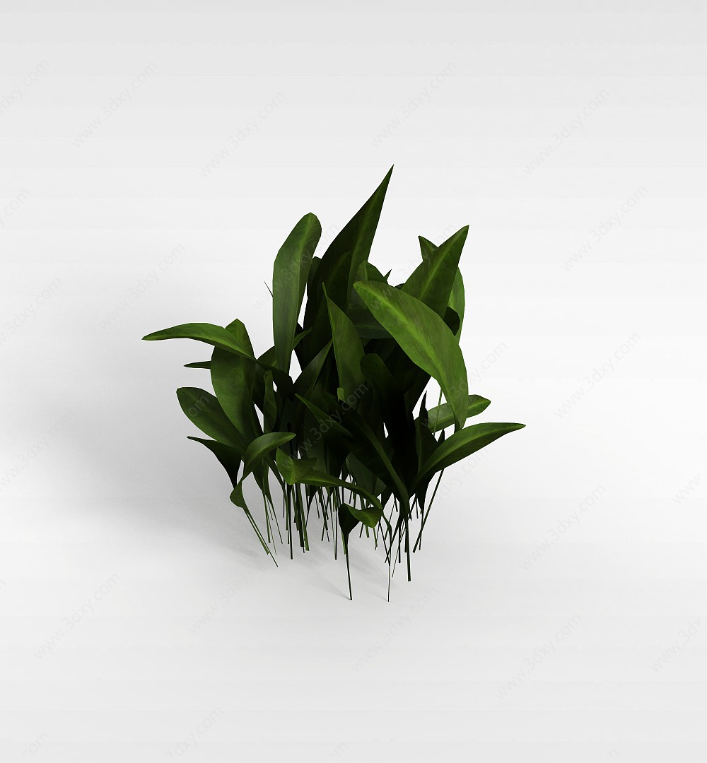 一束绿草3D模型