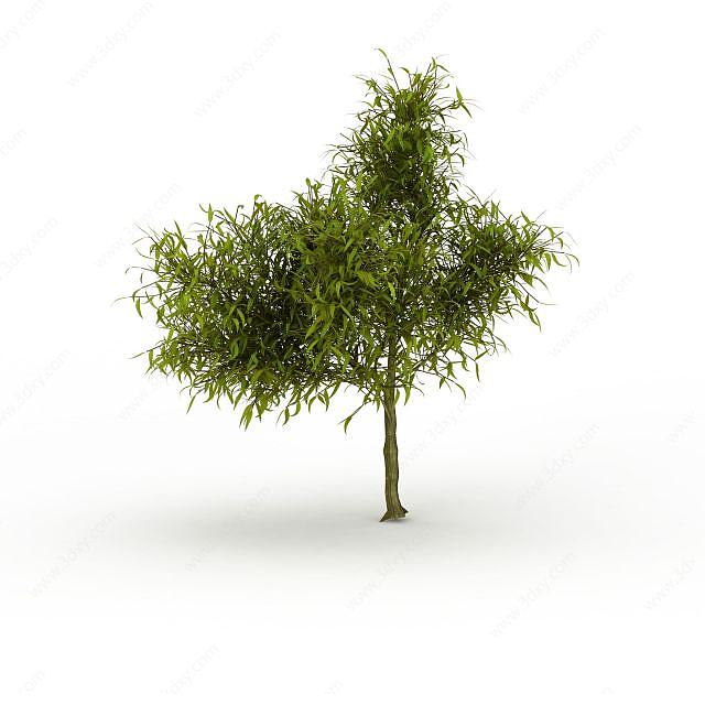 尖叶灌木3D模型
