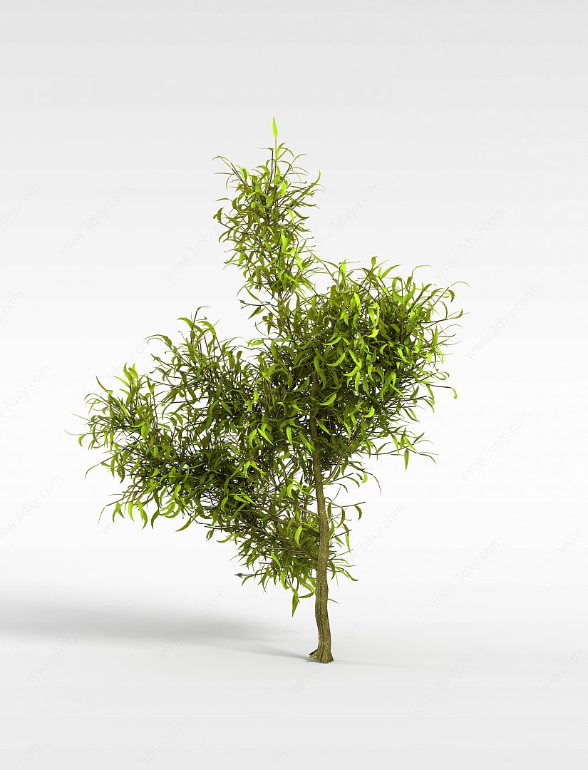 尖叶灌木3D模型