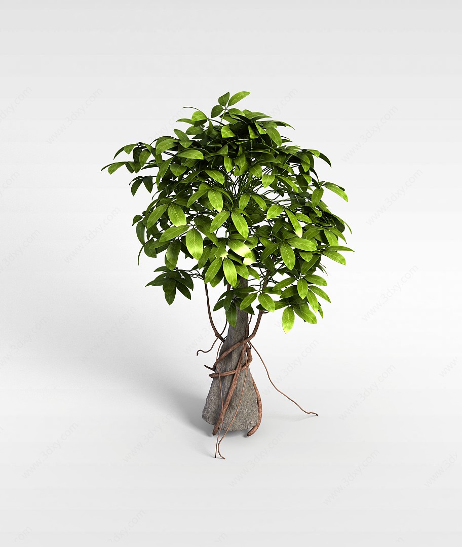 长叶灌木3D模型