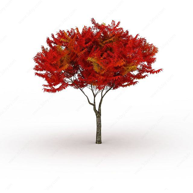 红色树3D模型